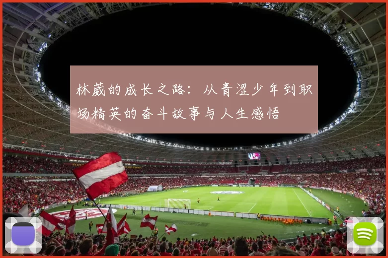 林葳的成长之路：从青涩少年到职场精英的奋斗故事与人生感悟