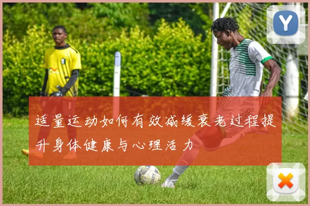适量运动如何有效减缓衰老过程提升身体健康与心理活力