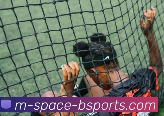 B体育APP 体育赛事宣传图